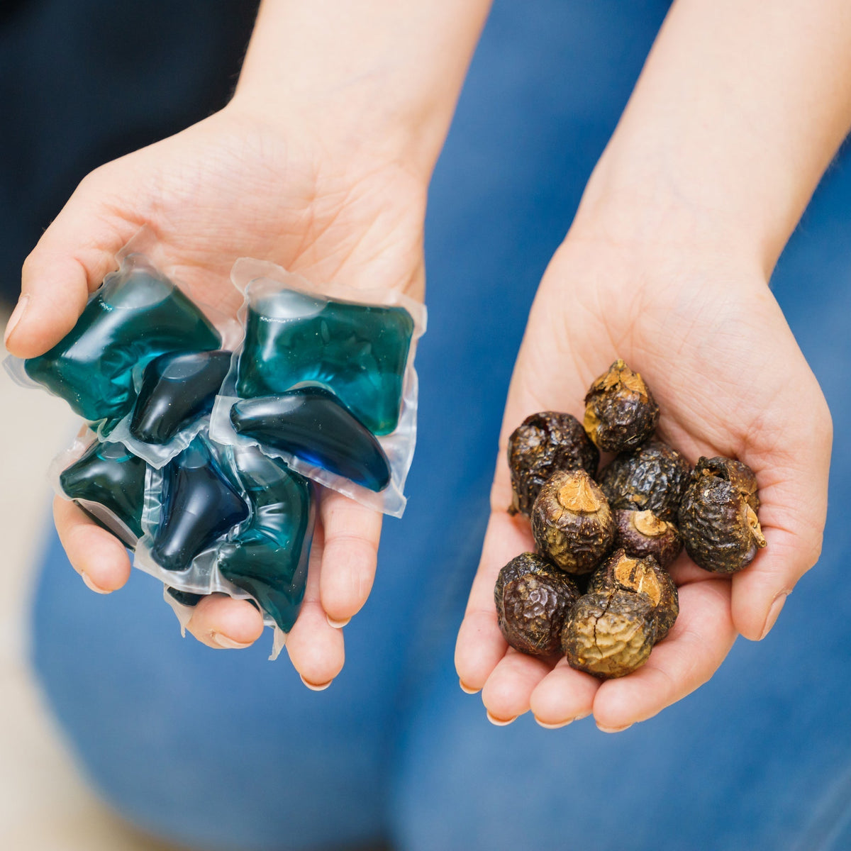 Soap nuts vs laundry detergent: which is better?