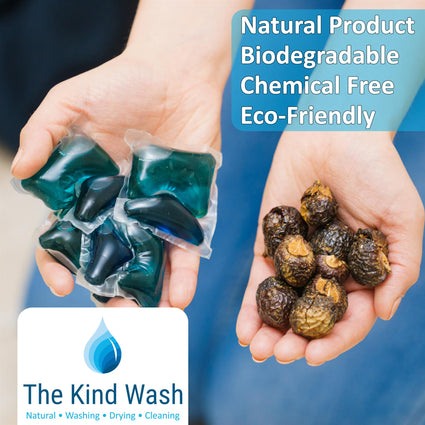 Natural biodegradable chemical-free eco-friendly soap nuts held in cupped hands